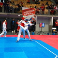 Austrian Open Kyorugi 2024
